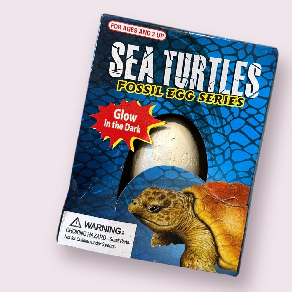 Sea Turtle Fossil Egg Dig Kit Glow in the Dark